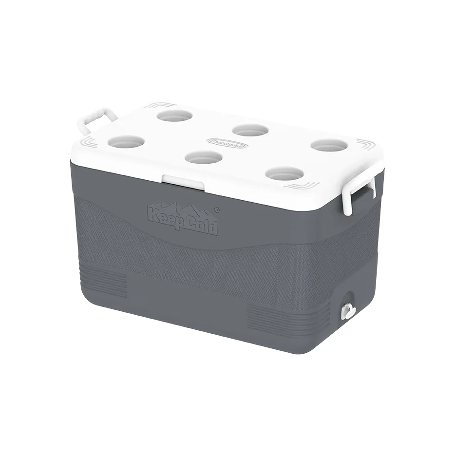 Cosmoplast Picnic Icebox 60L Cool Grey