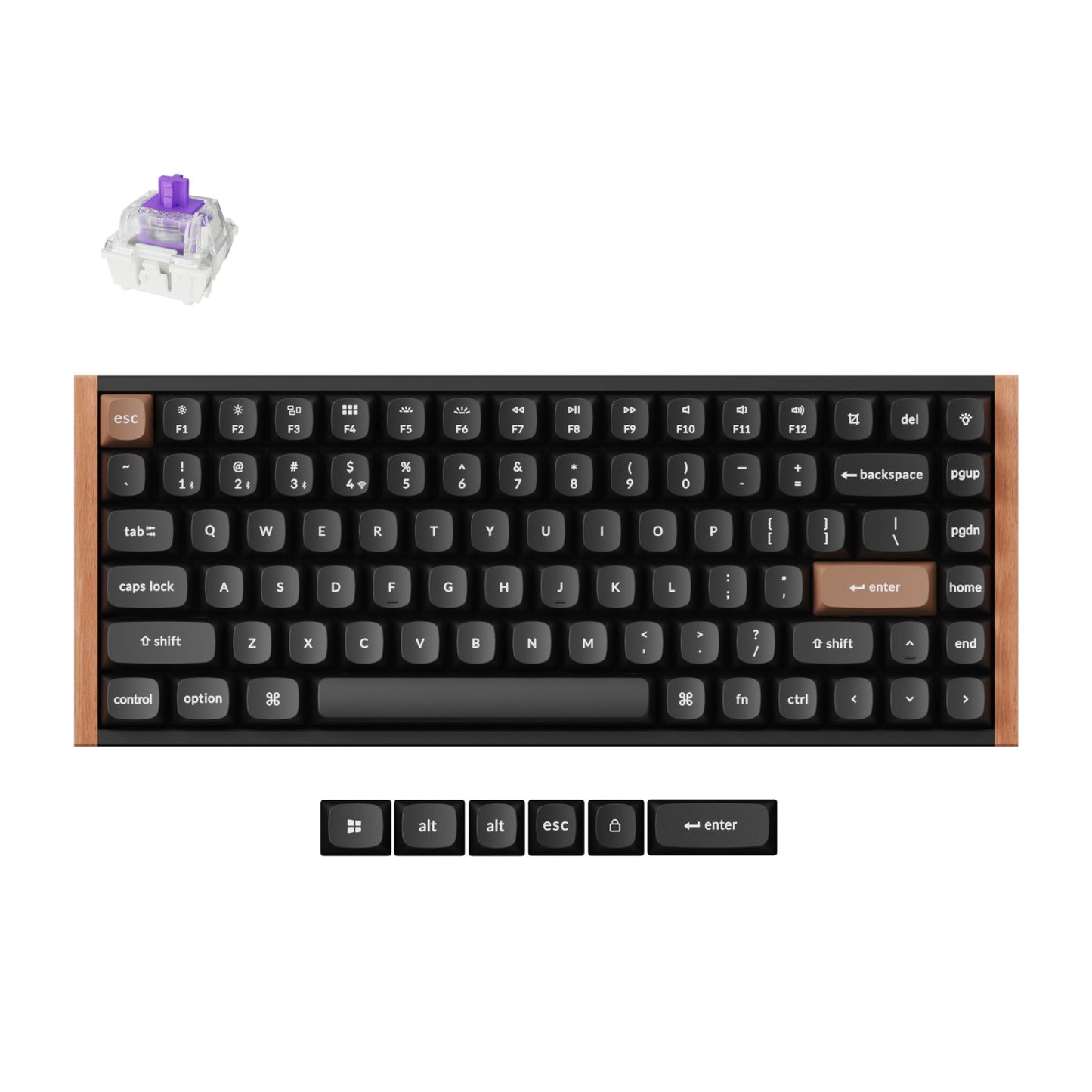 Keychron K2 HE Wireless Special Edition Magnetic Custom Keyboard | NEBULA Switch – Black - Guards On Duty Shop & Security Guards