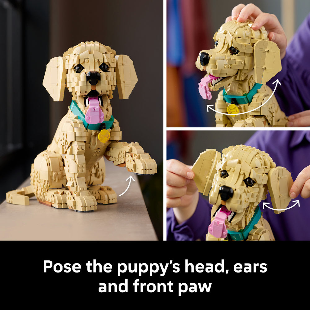 LEGO® ICONS Golden Retriever Puppy Animal Figure Building Set 11384