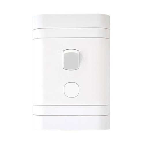 Lesco 2 Pole Flush Isolator Switch With Rectangle Flush