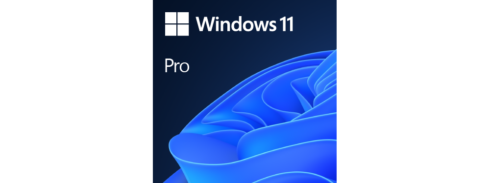 Windows 11 Professional Full Install - Download. FQC-10572