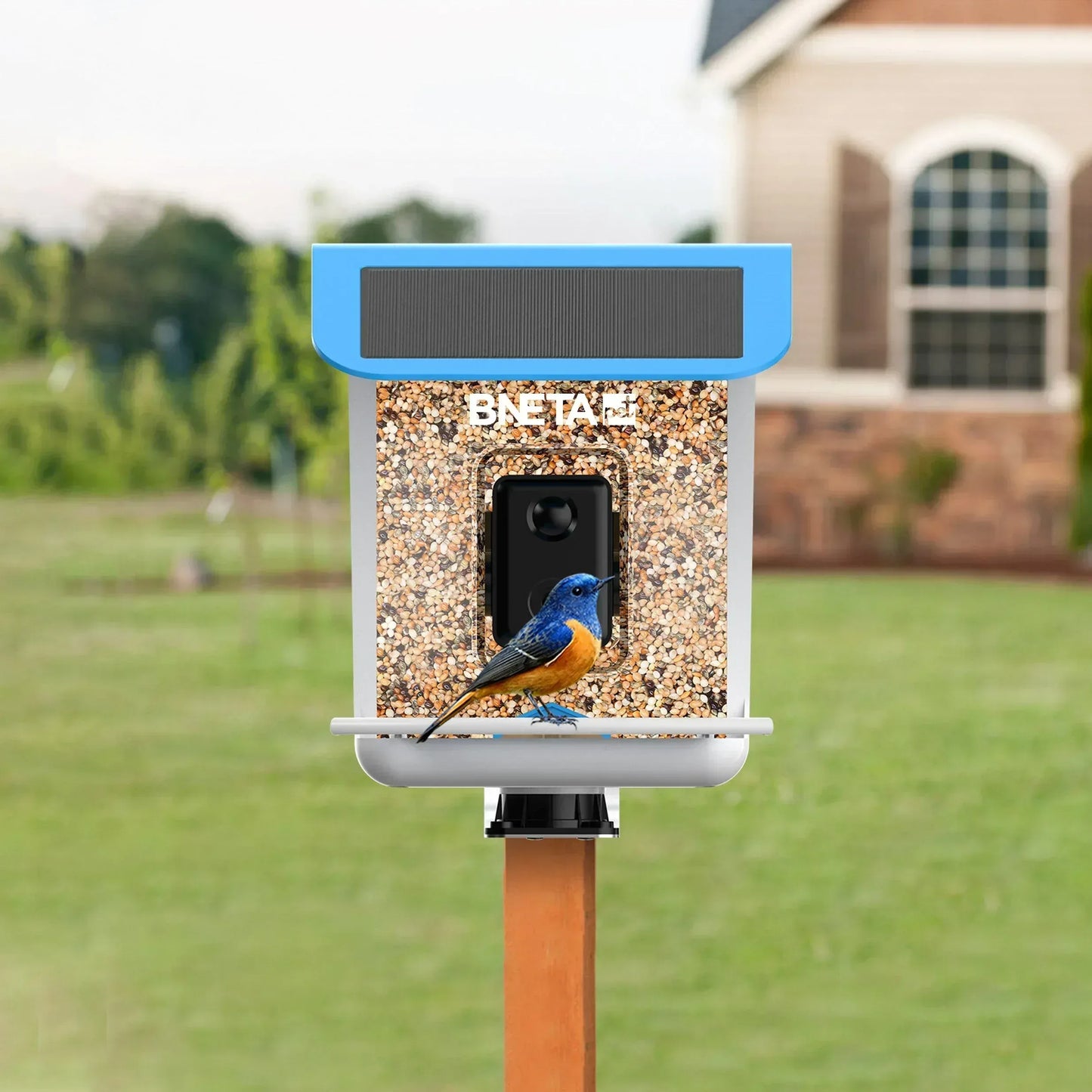 BNETA Pet Smart AI Birdfeeder BF002 Guards On Duty Security