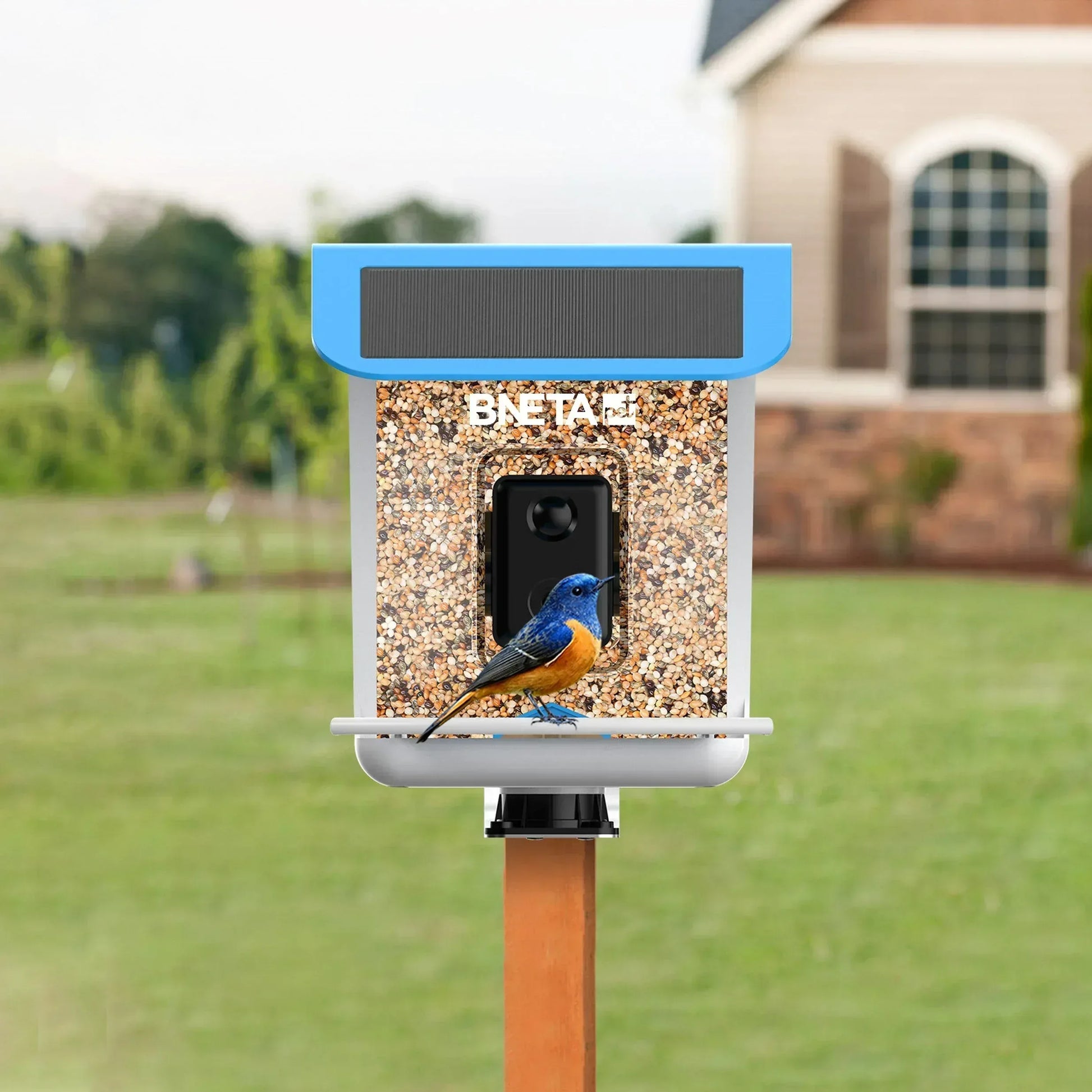 BNETA Pet Smart AI Birdfeeder BF002 Guards On Duty Security