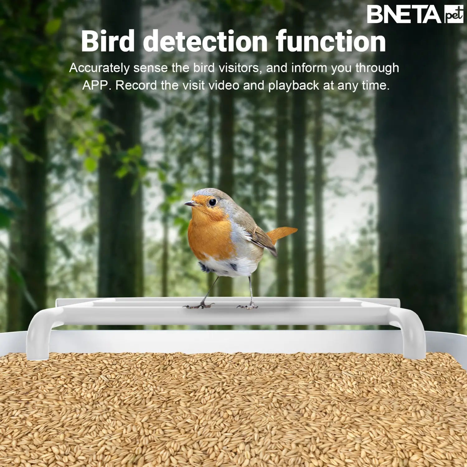 BNETA Pet Smart AI Birdfeeder BF002