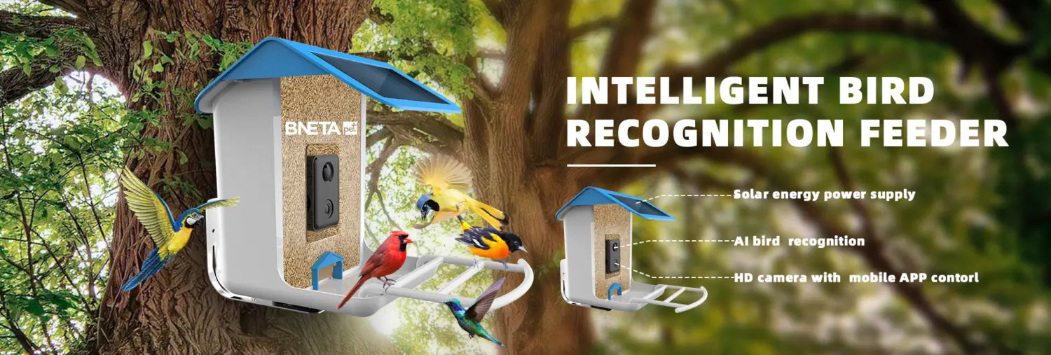 BNETA Pet Smart AI Birdfeeder BF002