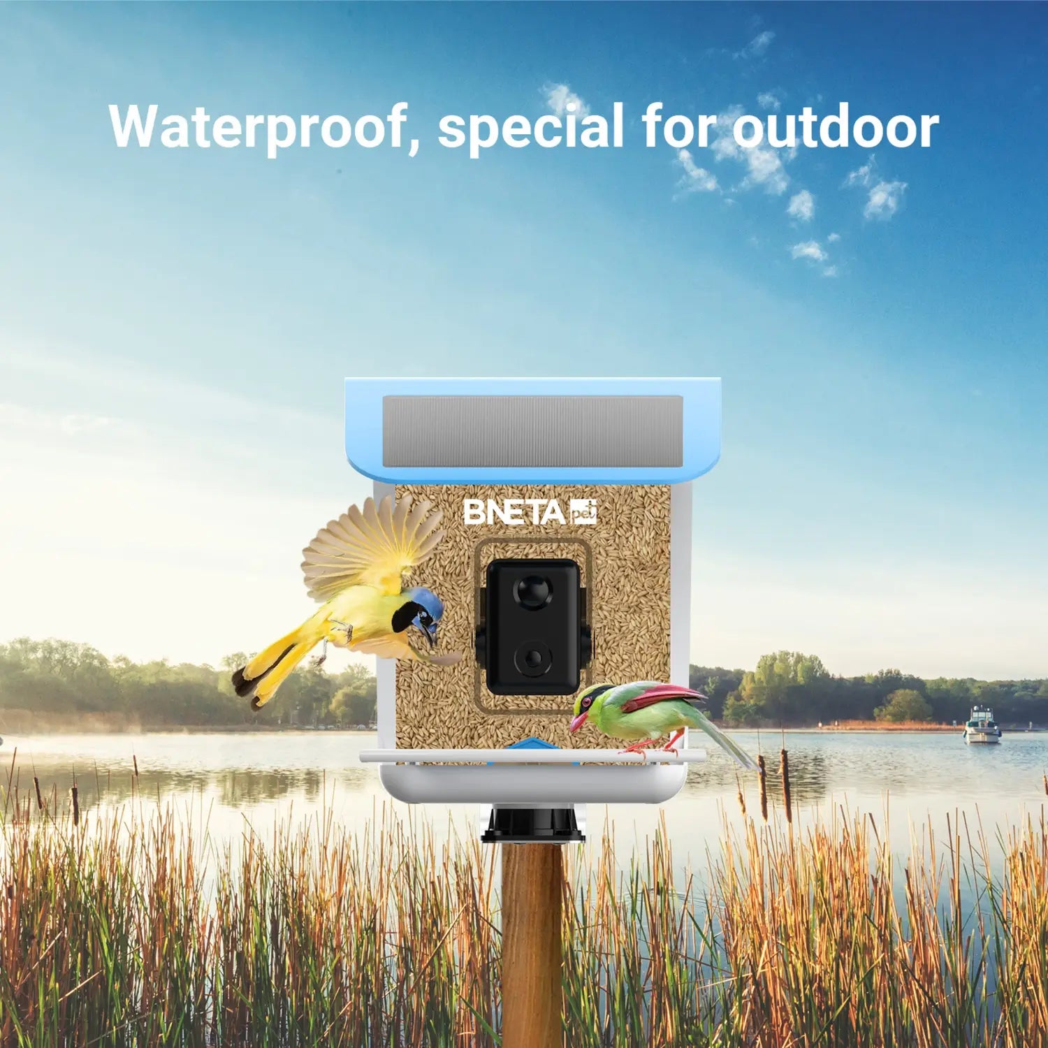 BNETA Pet Smart AI Birdfeeder BF002