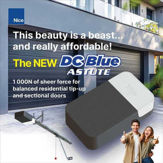 DC Blue Advanced GDO PICO Head - Nice | Guards on Duty Shop South Africa