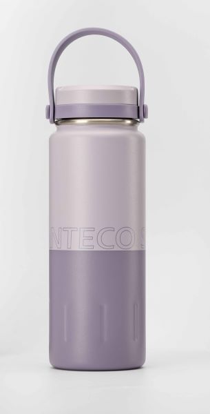 Santeco Koya Stainless Steel Bottle Vine Purple 500ml