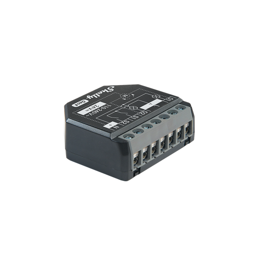 Shelly 2PM Gen4 Two-Channel Smart Switch With Power Metering And Multiprotocol Support
