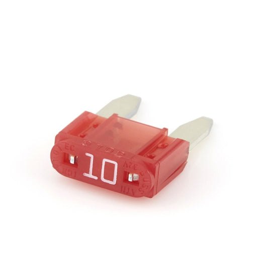 10A Fuse — Tronitech | Guards on Duty Shop