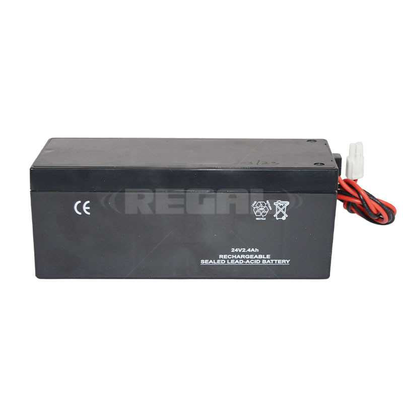 24V 1500mAh Lithium Ion DigiDoor Battery