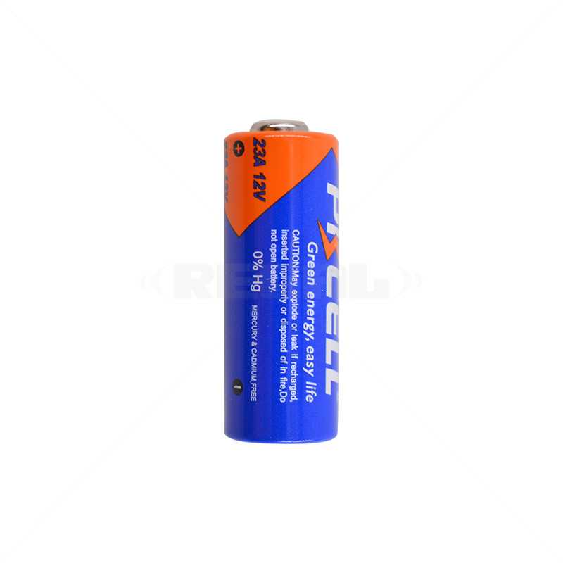 Batt Remote 12V PP23A
