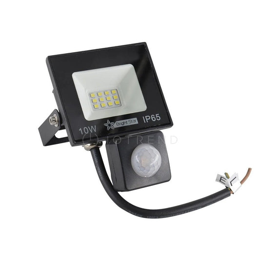 10 Watt LED Floodlight with Sensor 6000K