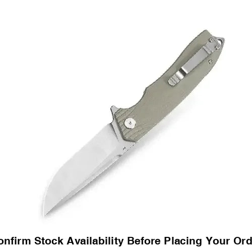 BESTECH LION BG01C - Guards On Duty Shop