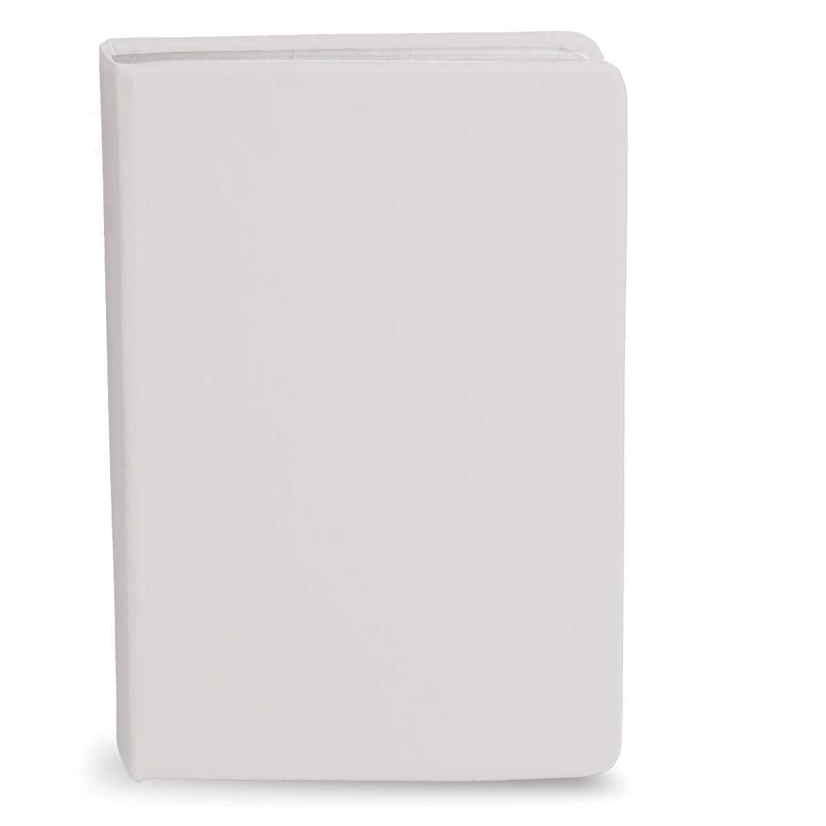 Bingham Notebook