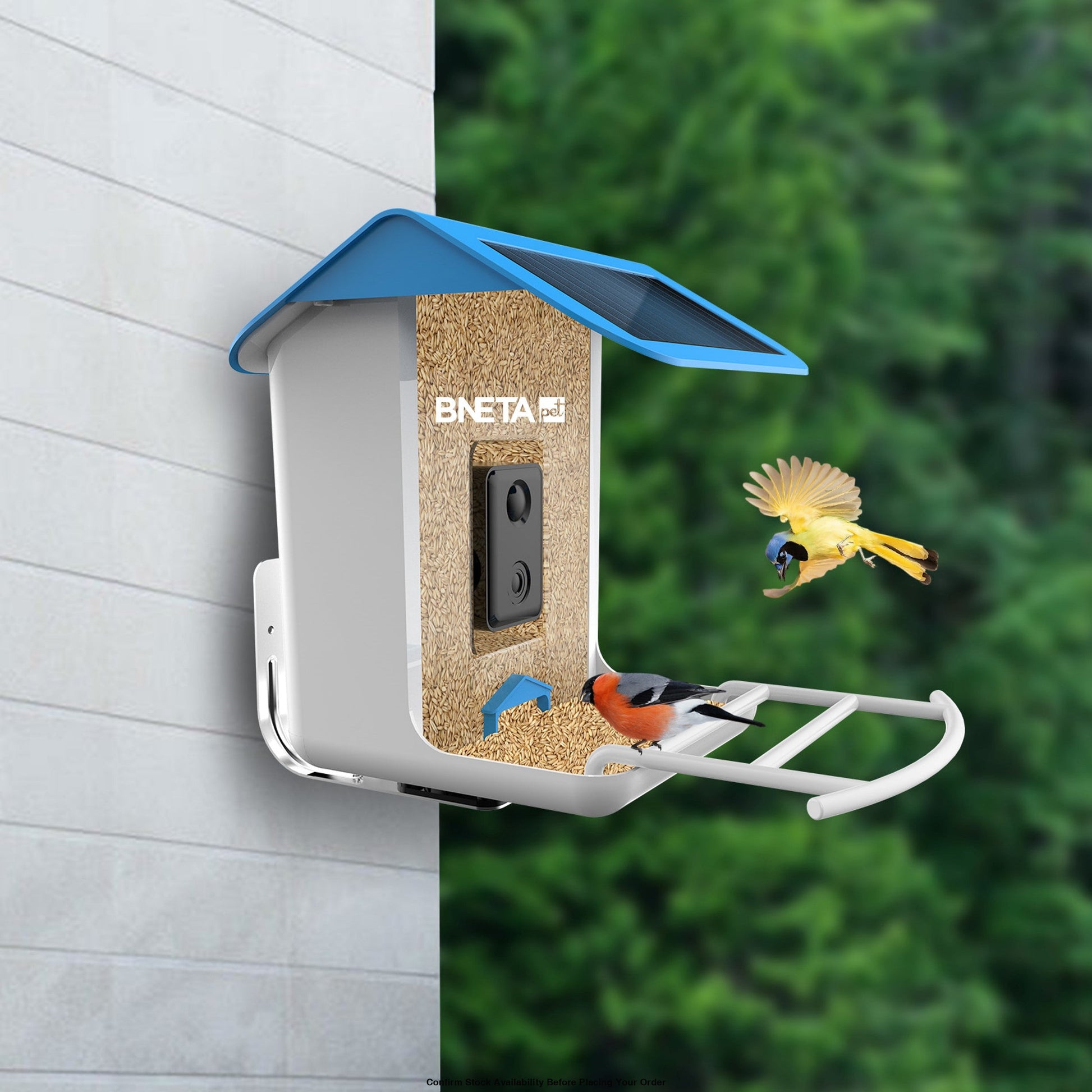 BNETA Pet Smart AI Birdfeeder