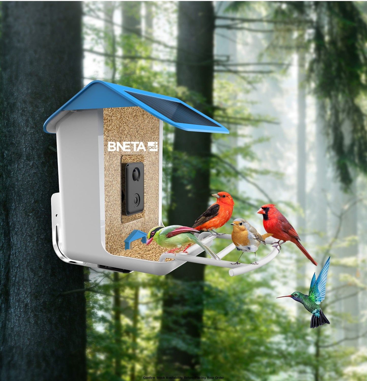 BNETA Pet Smart AI Birdfeeder