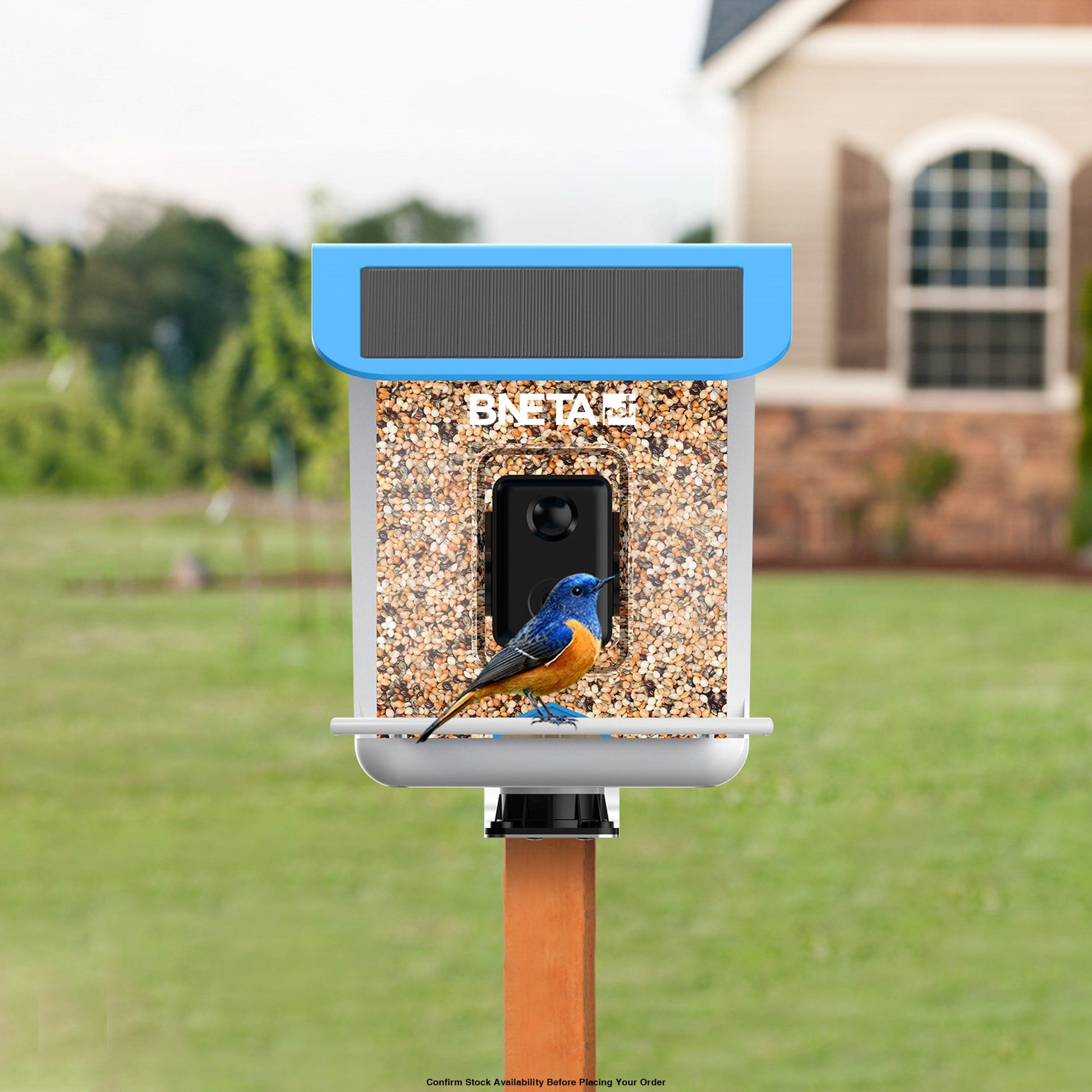 BNETA Pet Smart AI Birdfeeder