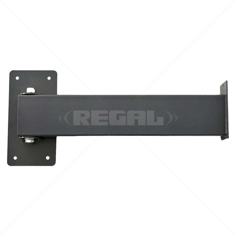 BPT Swing Arm excl Mounting Plate Wall Mount excl Rainshield