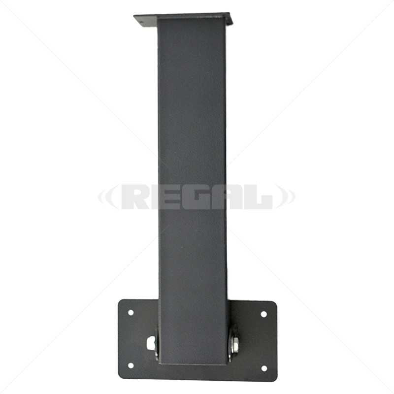 BPT Swing Arm excl Mounting Plate Wall Mount excl Rainshield