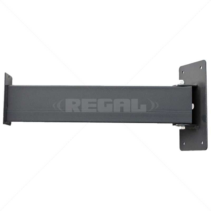 BPT Swing Arm excl Mounting Plate Wall Mount excl Rainshield