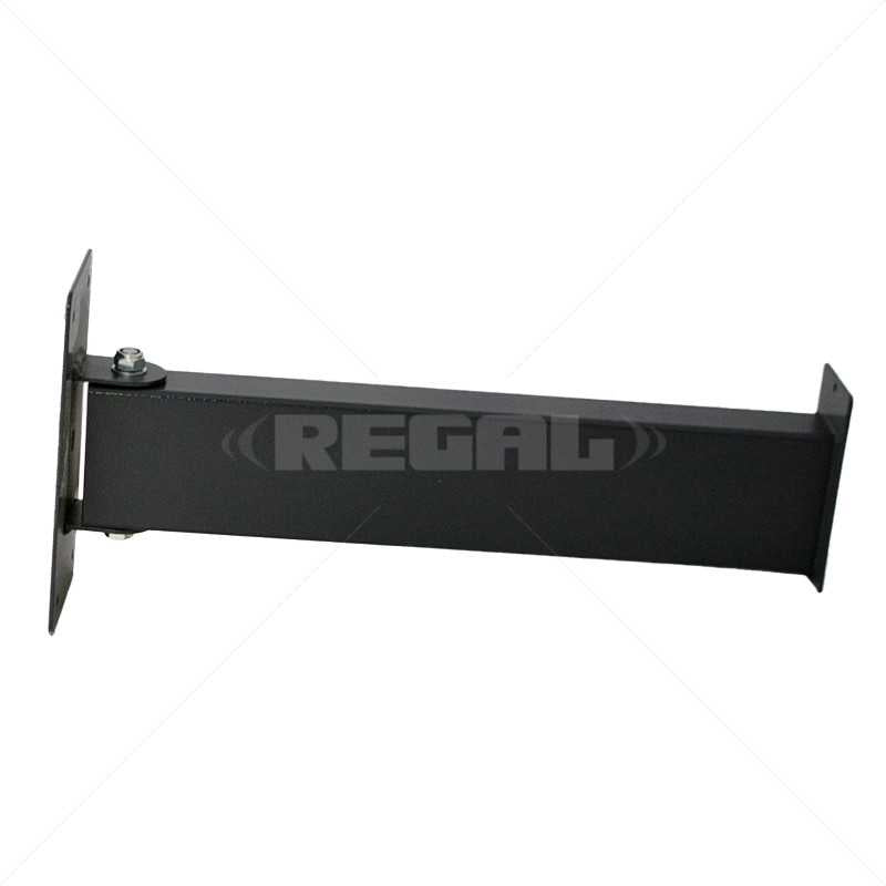 BPT Swing Arm excl Mounting Plate Wall Mount excl Rainshield
