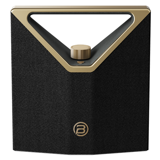 Bugani Brief Plus 100W portable Bluetooth speaker with 100+ broadcast chain - Bugani South Africa