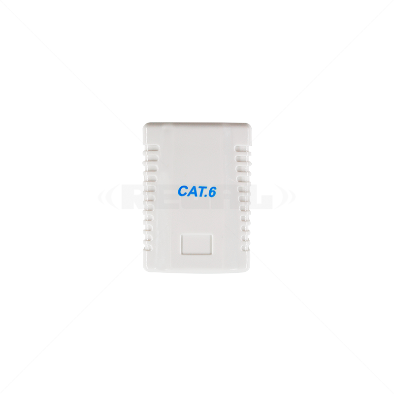 CAT6 Single Wall Box (o Connectors / DC Leads)