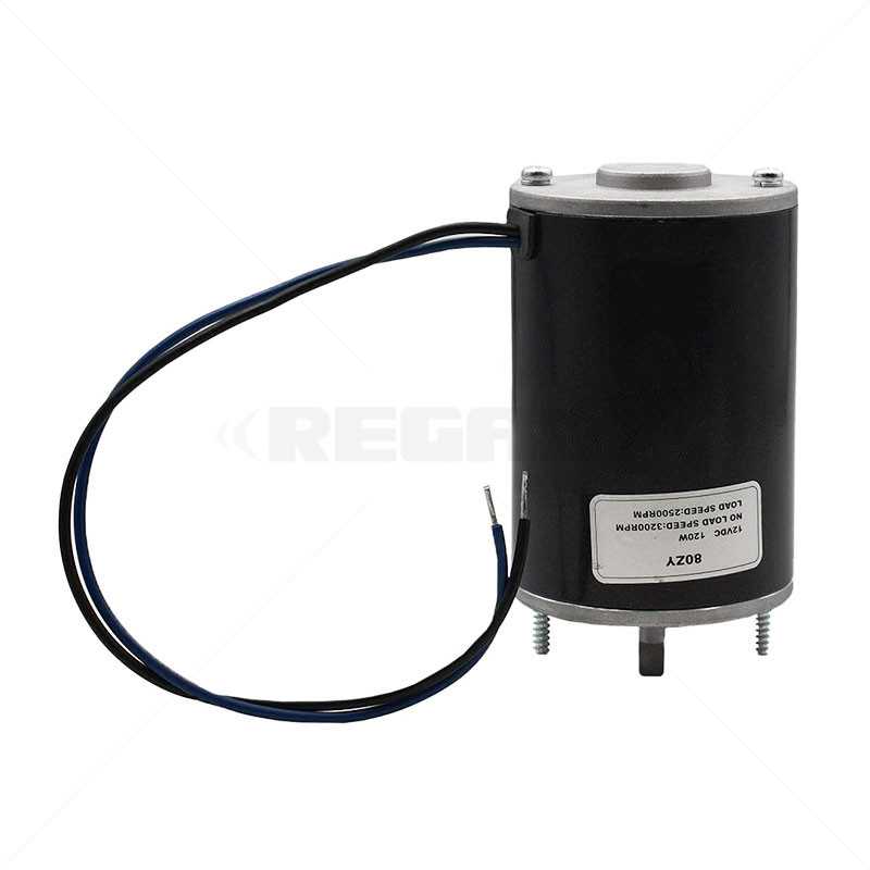 Centurion D5 12VDC Internal Motor only