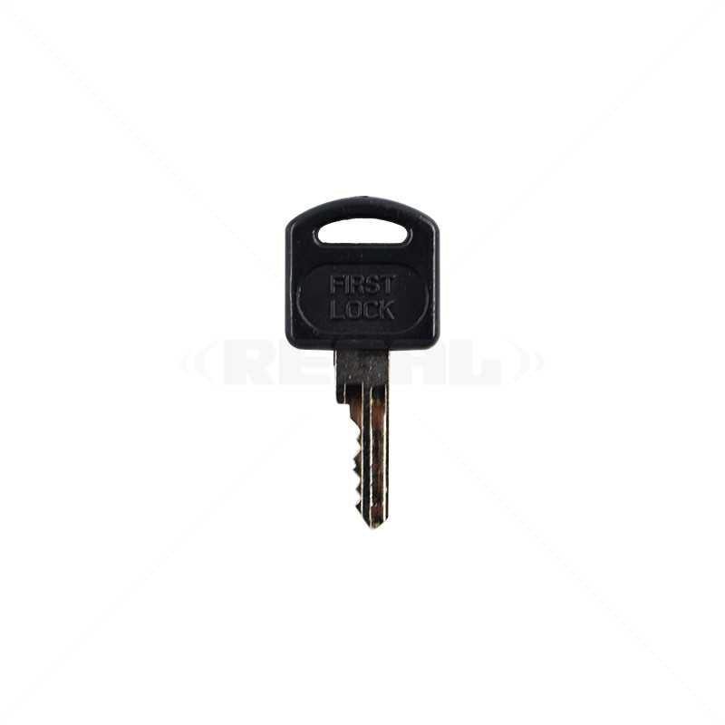 Centurion Gate Motor D3 / D5 Spare Key