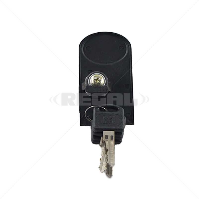Centurion Gate Motor VERT-X WR Camlock Assembly