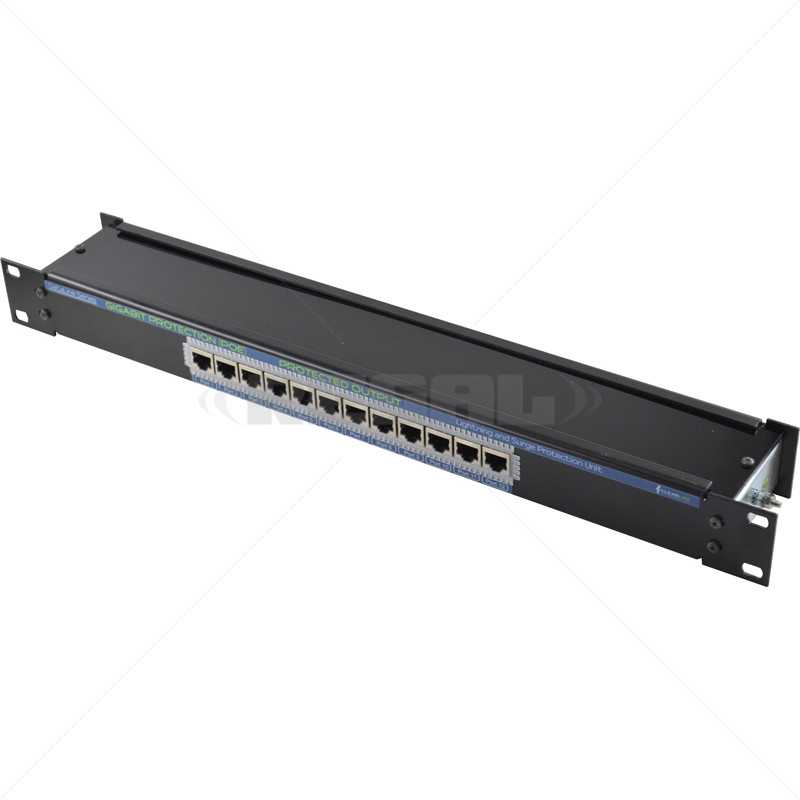 CL Surge Protect 12-CH Network GB PoE