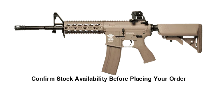 CM16 Raider-L DST 6MM Airsoft Rifle