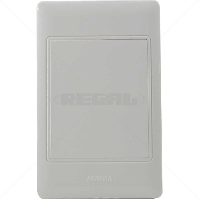 Conduit PVC Cover Plate 4 x 2" Box