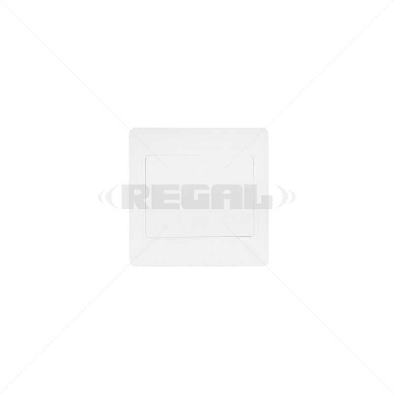 Conduit PVC Cover Plate 4 x 4" Box