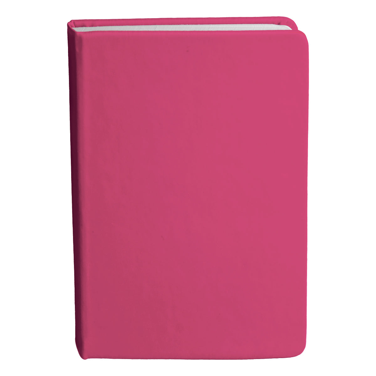 Bingham Notebook