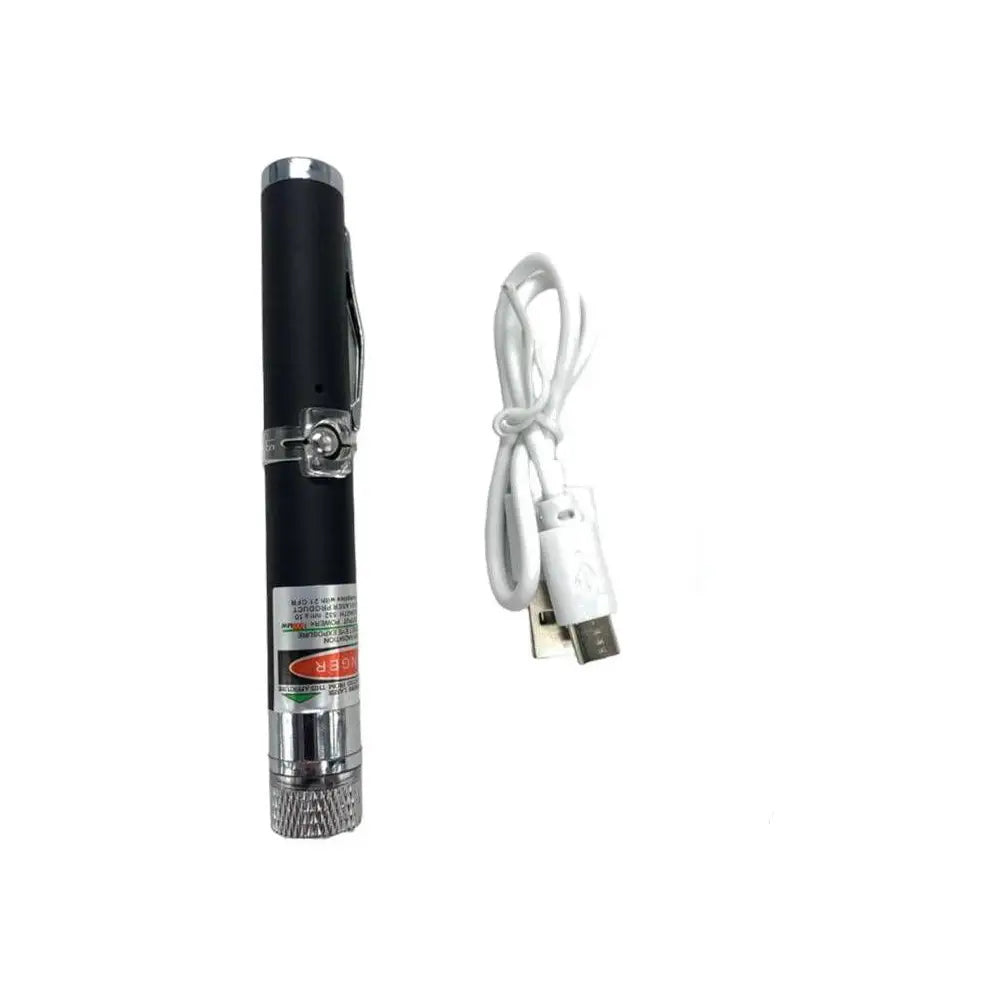 Green Laser Pointer Blue Box - 4197