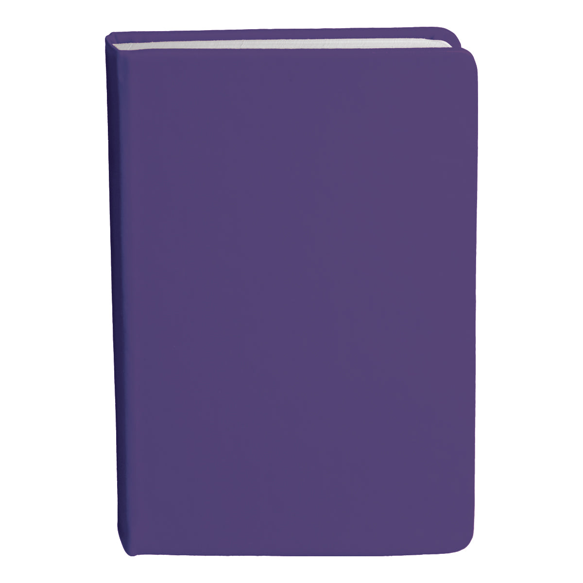 Bingham Notebook