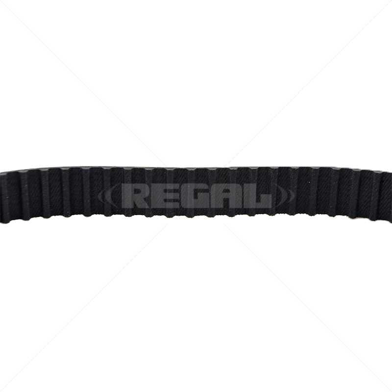 DigiDoor - Belt 170 x 50L