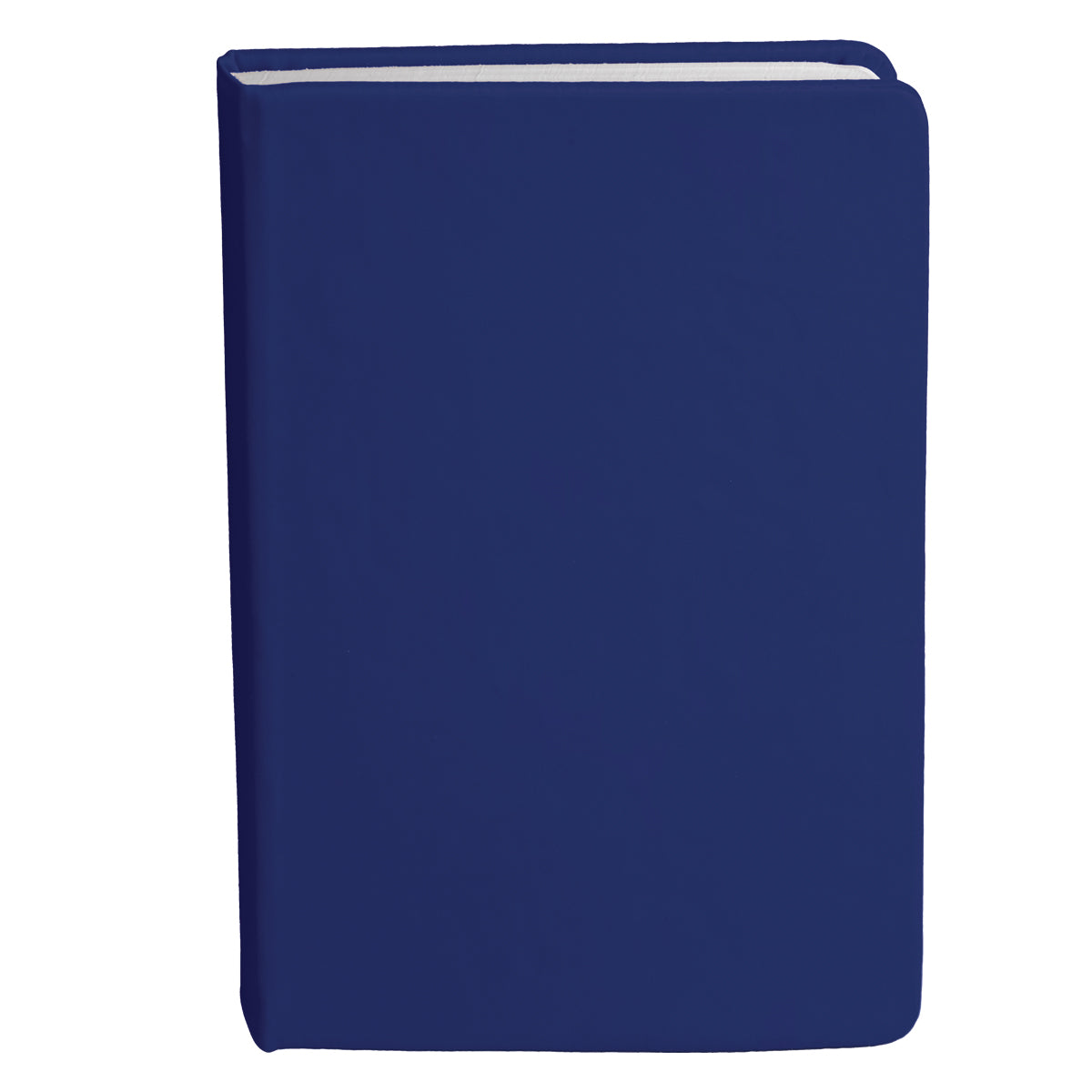 Bingham Notebook