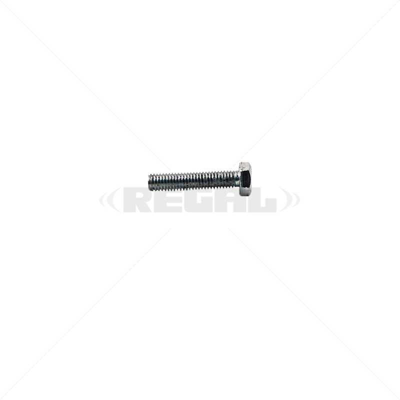Electric Fence Accessories W Screw - M6*30 M/S Bolt