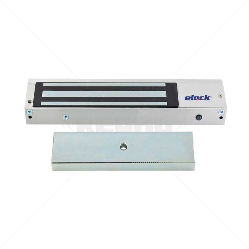 elock In Maglock 272kg 12-24 VDC Monitor