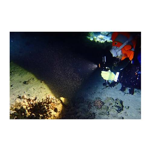 Fenix SD11 Diving Flashlight
