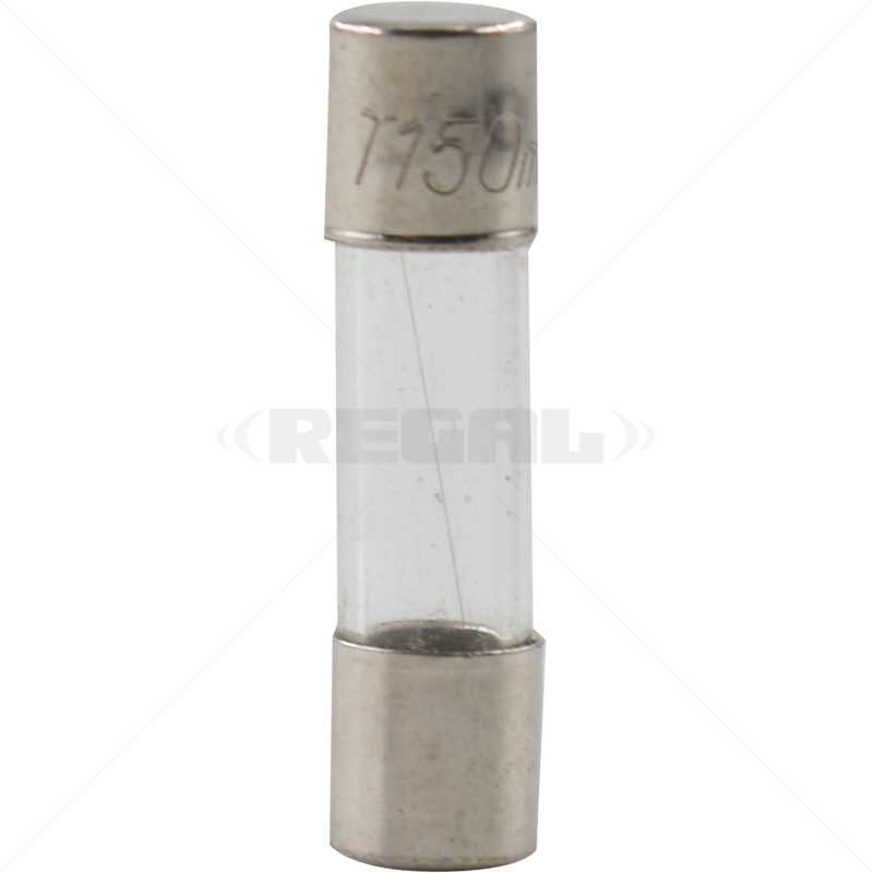 Coach Screw 6 x 75 x 8mm W/Plug / 25