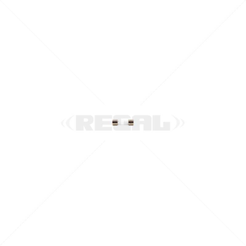 Fuse - 4Amp 5 x 20mm