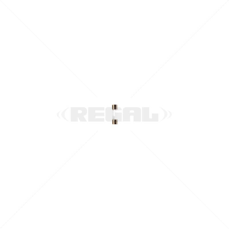 Fuse - 4Amp 5 x 20mm