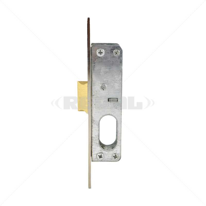 Gate Lock 15mm + Cyl. (o Biometric Reader)