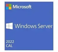DELL 1-PACK OF WINDOWS SERVER 2022/2019 USER CALS (STD OR DC) CUS KIT - Guards On Duty Shop & Security Guards
