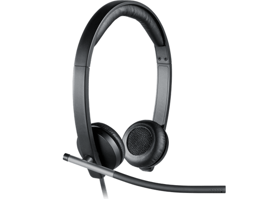 Logitech H650e Professional USB Headset Stereo