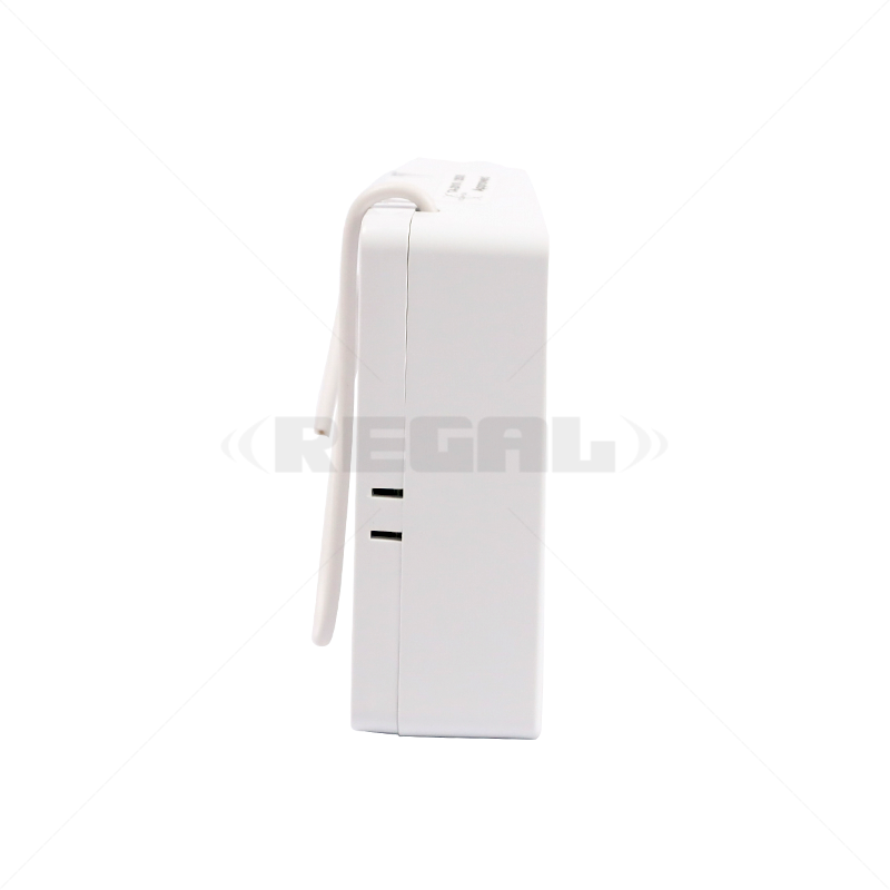 IDS 2 Channel Receiver 2 x 3A Relay 433MHz